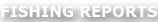 shapeimage_40_link_0